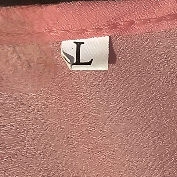 🟨 ☆ NWOT ☆ Sheer Pink Pull-Sleeve V-Neck Chiffon Blouse w Zipper Large - Picture 4 of 8